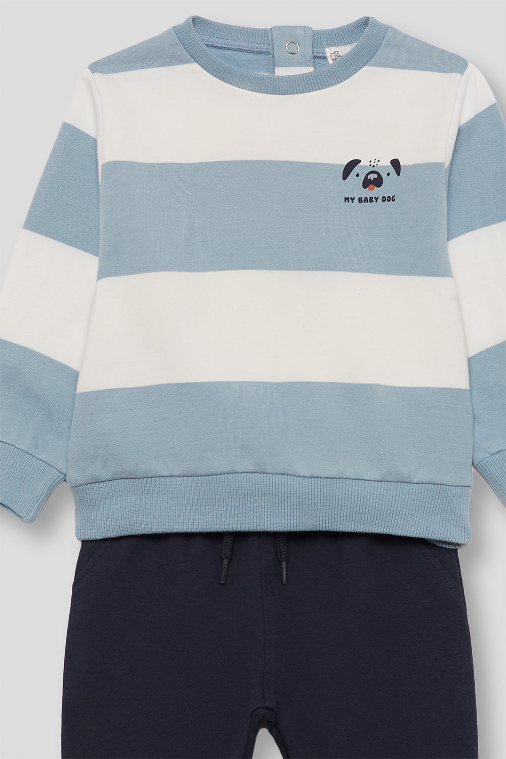 Chandal rayas perro Street Monkey