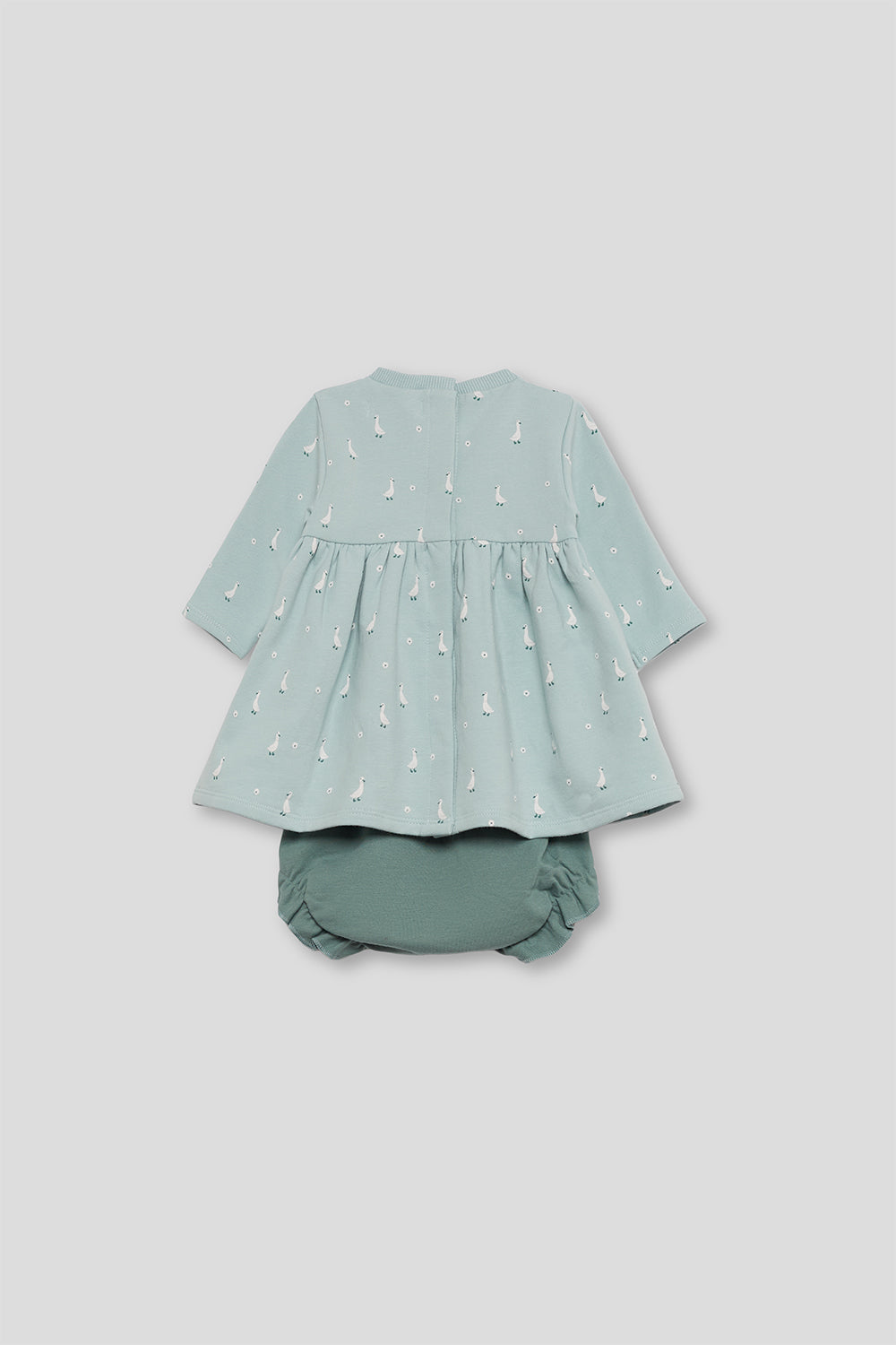 Jesusito patos Street Monkey